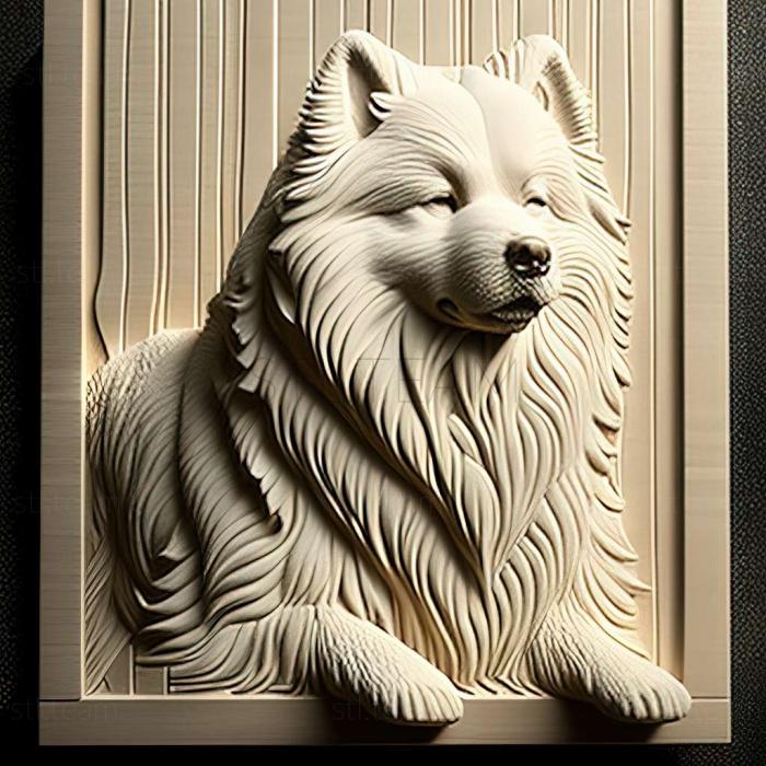 Animals Samoyed dog